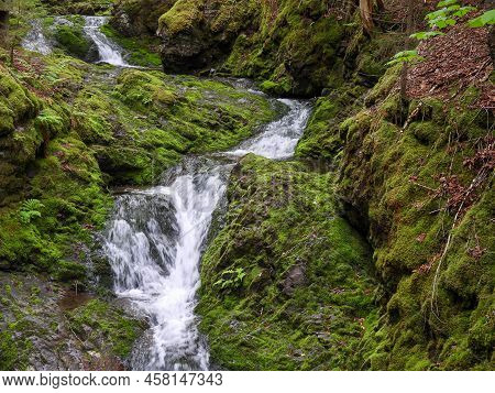 Beautiful Dickson Falls In Fundy National Park