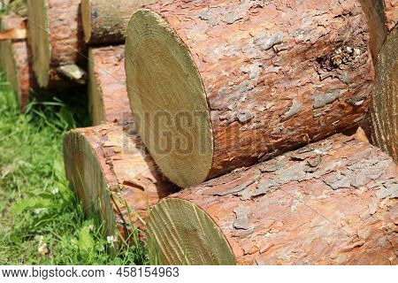 Chopped And Stacked Up Dry Firewood At The Countryside. Stock Pile Of Timber, Chopped Down Trees .