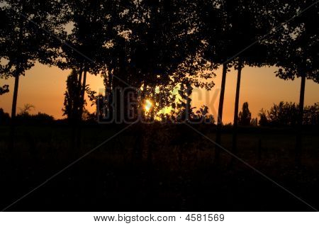 Zonsondergang silhouet