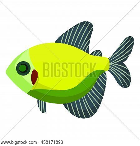 Ternetia Fish Aquarium Water Animal Nature And Vector Underwater Aquatic Art. Tropical Illustration 