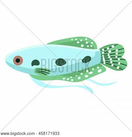 Gourami Fish Aquarium Water Animal Nature And Vector Underwater Aquatic Art. Tropical Illustration F