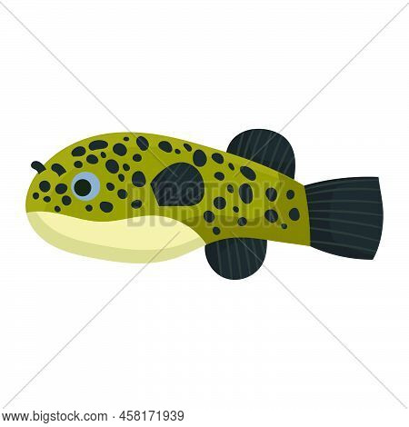 Tetradon Fish Aquarium Water Animal Nature And Vector Underwater Aquatic Art. Tropical Illustration 