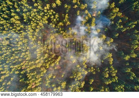 Strong Fire In An Empty Forest. Fire Spreads In A United Front, Strong Smoke From The Burning Place.