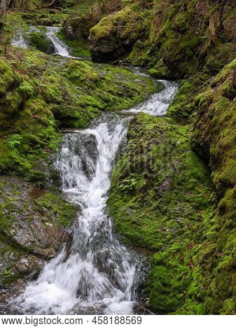 Rugged Dickson Falls In Fundy National Park