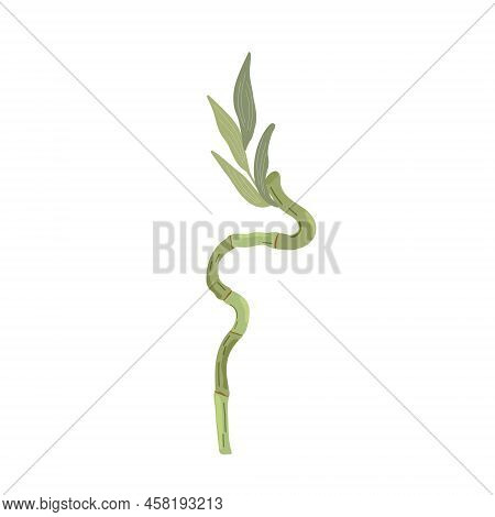 Bamboo Plant Simple Flat Style Vector Illustration, Traditional Japanese Plant, Oriental Decorative 