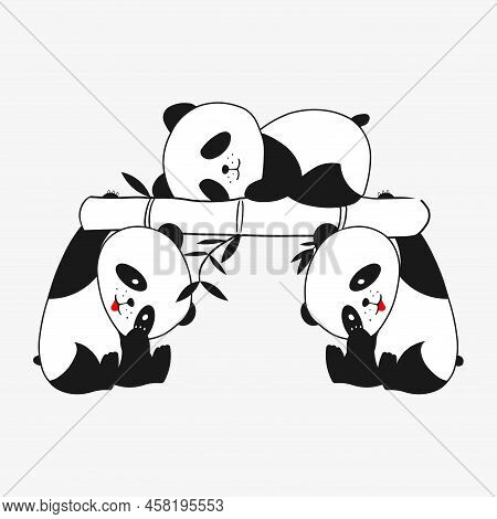 Image Of Three Funny Pandas, One Of Them Is Sleeping