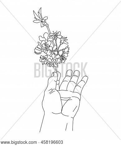 Hand Holding A Beautiful Flower. Vector, Illustration.
