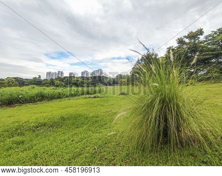 Singapore- 9 Apr, 2022: Scenic View From Bishan-ang Mo Kio Park In Singapore. It Is One Of The Large