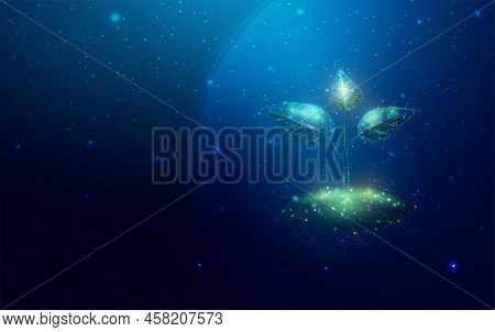 Plant Sprout. Growing Plant In Low Poly Wireframe Style. Abstract Modern 3d Vector Illustration On D
