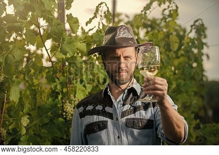 Mature Enologist Man In Hat Hold Wine Glass At Winery Outdoor, Cheers