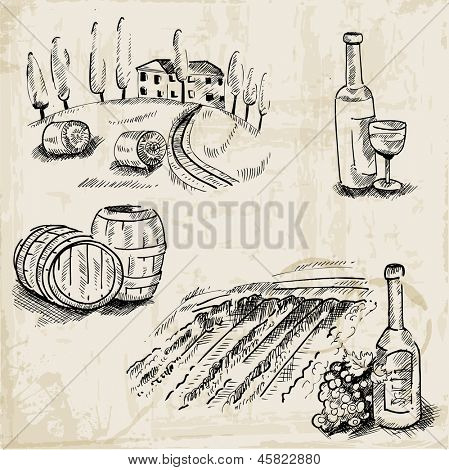 Vino, vino y viñedo - ilustración dibujado a mano - vector
