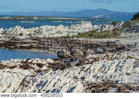 Kaikoura Coastal Views From End Of Fyffe Quay New Zealand