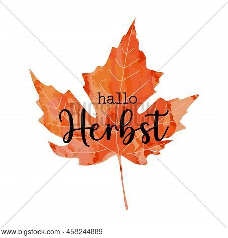 Beautiful Calligraphy Lettering Text - Hallo Herbst - German Translation - Hello Autumn Fall. Bright