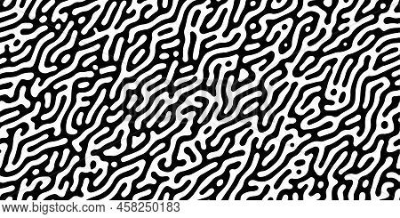 Turing Reaction Diffusion Black And White Seamless Pattern With Directional Motion