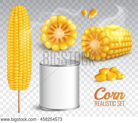 Realistic Corn In Cob, Grains, Baked Buttered Maize, Canned Product, Set On Transparent Background I