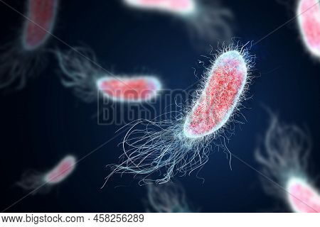 Bacteria Colony Under Microscope, Illustration. Cystitis, Infection Of Urinary Bladder