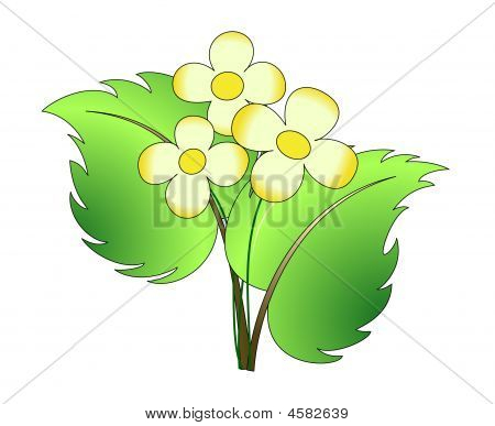 2 Blätter mit 3 Blumen