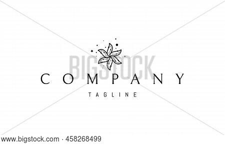 Vector Logo On Which An Abstract Image Of A Starfish In A Linear Style On A Background Of Stars.