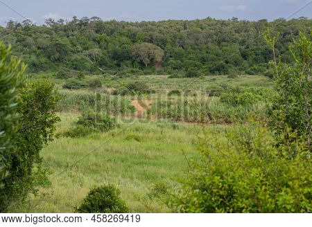 Hluhluwe Imfolozi Park Nature Reserve South Africa