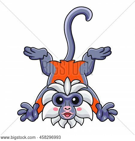 Vector Illustration Of Cute Zanzibar Red Colobus Monkey Cartoon Posing