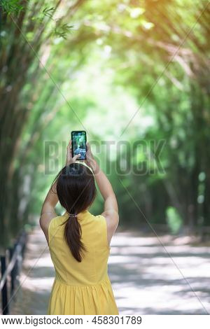 Asian Woman In Yellow Dress And Hat Traveling At Green Bamboo Tunnel, Happy Traveler Taking Photo By