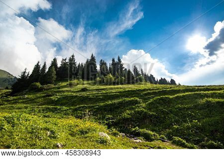 Picturesque Mountain Landscape Near Almaty. Kok Zhailau On A Bright Sunny Day, Wth Copy Space