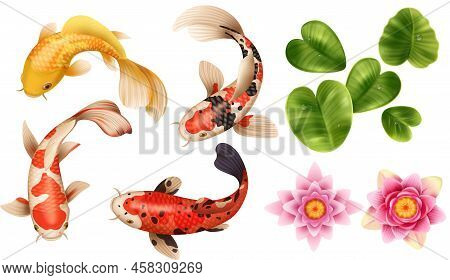Realistic Drawing Koi Fish Lotus Set With Isolated Images Of Colorful Fishes Flowers And Exotic Leav