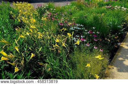 Flowerbed On The Promenade In The Park With Ornamental Perennials. The Edge Is A Curved Curb Of Gran