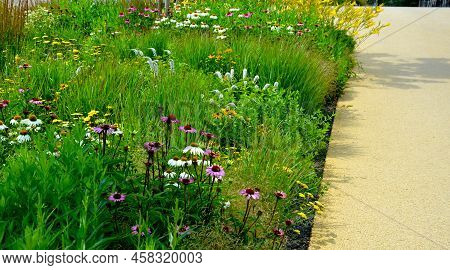 Flowerbed On The Promenade In The Park With Ornamental Perennials. The Edge Is A Curved Curb Of Gran