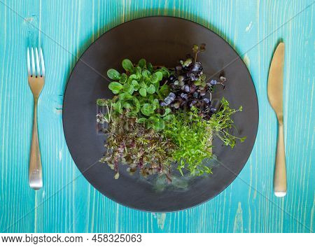 Assorted Microgreens Grown On A Sponge. Micro-green On A Black Plate And Cutlery. Top View On A Blue
