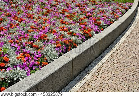 Crazy Annual Bed With A Pink-orange Combination Of Flowers. Large Retaining Walls Of Rounded Sandsto