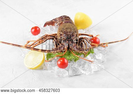 Fresh Spiny Lobster Or Sea Crayfish On Crash Ice With Lemon, Tomatoes And Salad, Common Mediterranea
