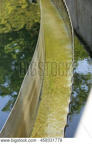 Algae Formation In The Course Of A Sewage Treatment Plant