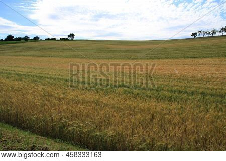 View of the Heckengaeu near Weissach in the sunshine