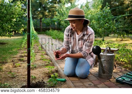 Charming Female Gardener Planting Seedling In The Open Ground. Love And Care For Nature, Environment