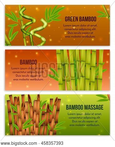 Green Bamboo Interior Decorative Elements And Hollow Canes Massage Tools 3 Realistic Horizontal Bann