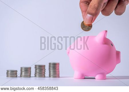 Save Money And Account Banking For Finance Concept, Piggy Bank With Coin On Blurred Background, Save