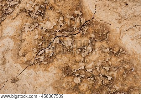 Brown Rusty Grunge Background. Abstract Texture Of Dry Clay Ground With Cracks. Backdrop For Design.