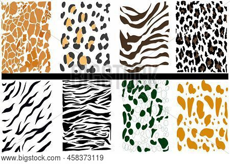 Set Of Vector Seamless Patterns Of Decorative Animal Prints. Abstract Stripes And Spots Similar To T