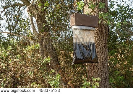 Evaluation System Of Organic Attractants For Pest Control In A Carob Tree Crop. Island Of Mallorca, 