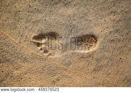 The Footprint Of A Person In The Wet Sand On The Beach.
