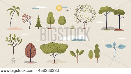 Trees Set With Various Growing Plants And Elements Tiny Person Collection. Botany Items With Differe