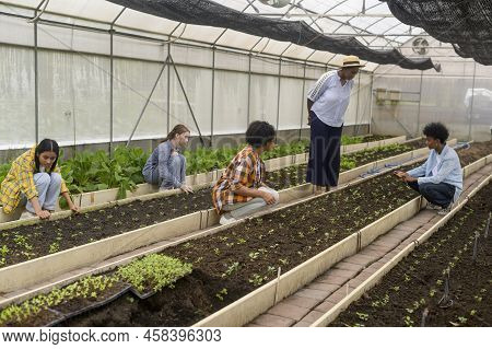 Group Of Mixed Race Students And Teacher Learning Agriculture  Technology In Smart Farming , Educati