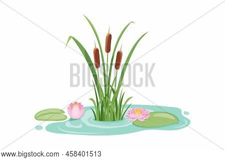 Pond With Reeds And Lotus. Design Element With Water Lily And Swamp Vegetation.