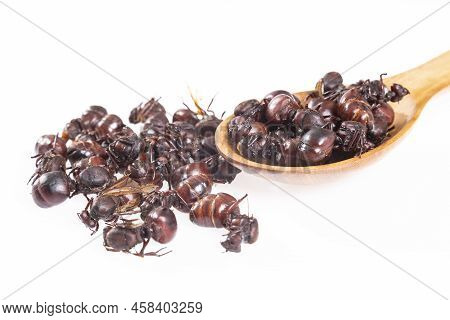 Ants Culonas Typical Gastronomy Of Santander Colombia; Photo White Background