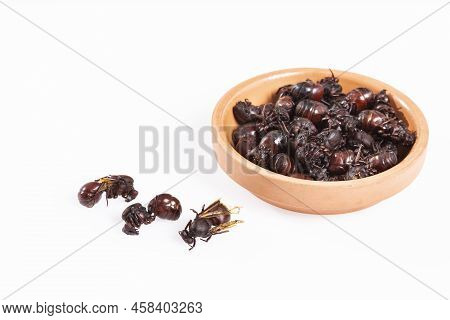 Ants Culonas Typical Gastronomy Of Santander Colombia; Photo White Background