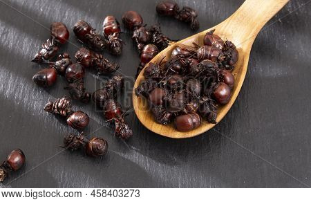 Wooden Spoon With Ants Culonas Typical Gastronomy Of Santander Colombia
