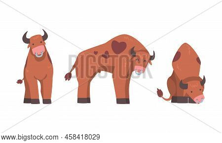 Brown Spotted Bull In Different Poses Set, Ox Farm Animal Cartoon Vector Illustration