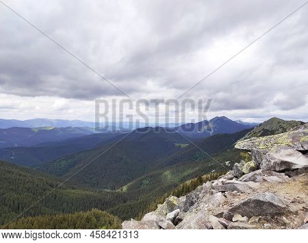 A Walk In The Mountainous Area, Aromatic Herbs