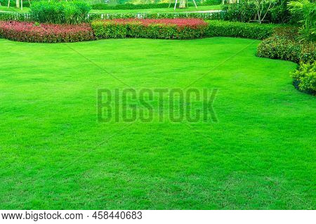Garden With Fresh Green Grass Both Shrub And Flower Front Lawn Background, Garden Landscape Design F